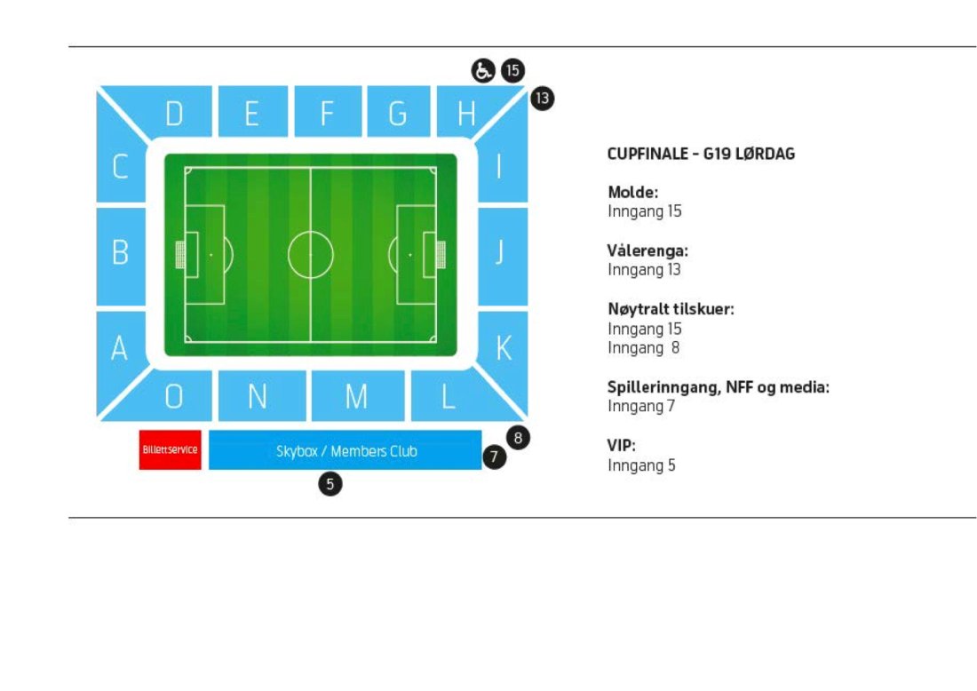 Telenor arena.jpg